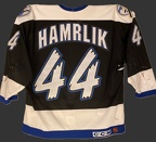 c. 1995 Hamrlik